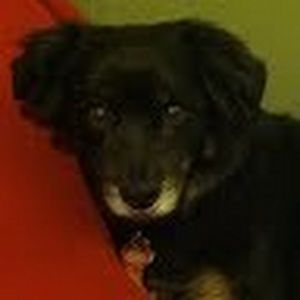 Meet your Posher, Whitney